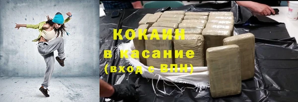 индика Дмитровск