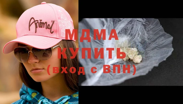 индика Дмитровск