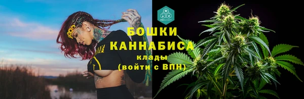 индика Дмитровск