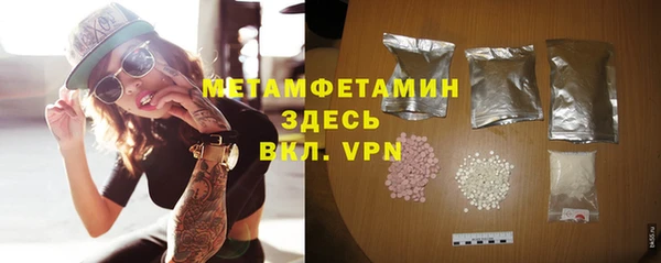 индика Дмитровск