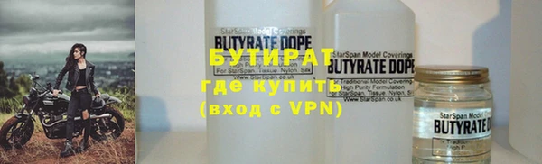 индика Дмитровск