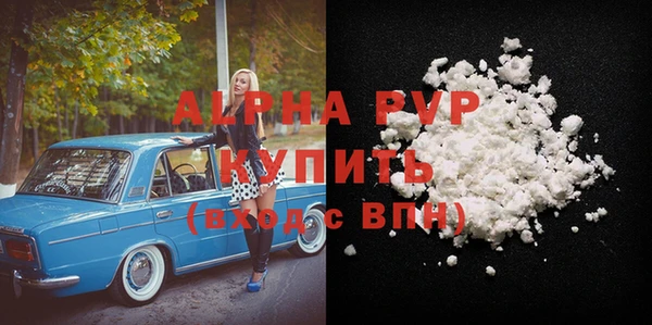 индика Дмитровск