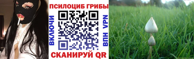 Галлюциногенные грибы Psilocybe  Купить  Кушва 